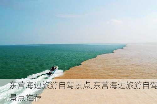 东营海边旅游自驾景点,东营海边旅游自驾景点推荐