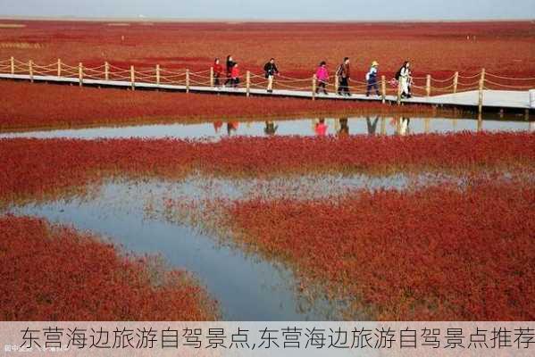 东营海边旅游自驾景点,东营海边旅游自驾景点推荐