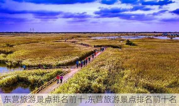 东营旅游景点排名前十,东营旅游景点排名前十名