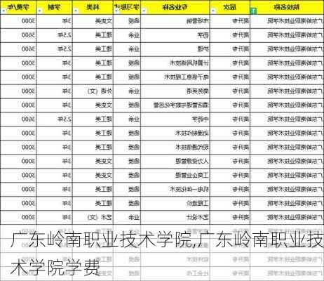 广东岭南职业技术学院,广东岭南职业技术学院学费