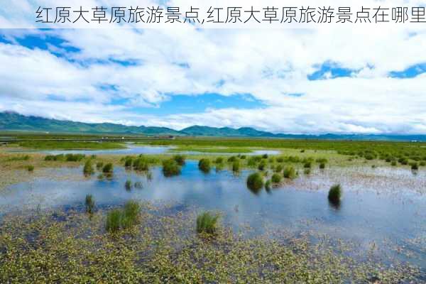 红原大草原旅游景点,红原大草原旅游景点在哪里