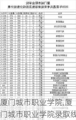 厦门城市职业学院,厦门城市职业学院录取线