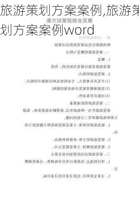 旅游策划方案案例,旅游策划方案案例word