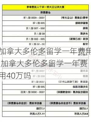 加拿大多伦多留学一年费用,加拿大多伦多留学一年费用40万吗