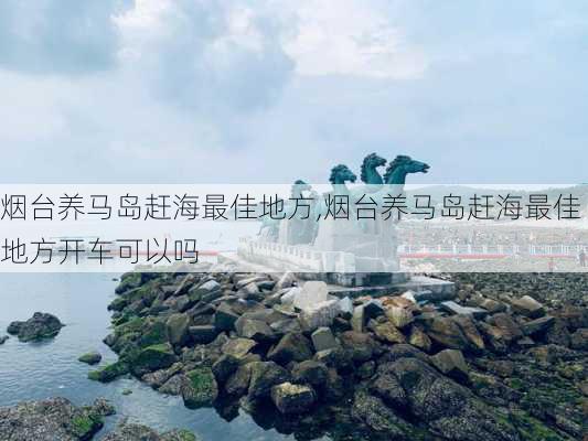 烟台养马岛赶海最佳地方,烟台养马岛赶海最佳地方开车可以吗