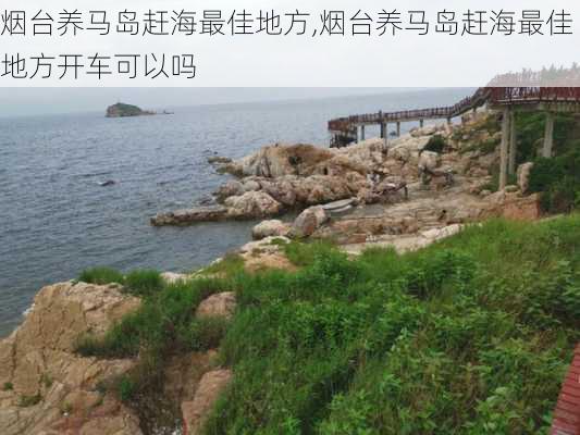 烟台养马岛赶海最佳地方,烟台养马岛赶海最佳地方开车可以吗