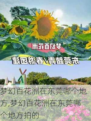 梦幻百花洲在东莞哪个地方,梦幻百花洲在东莞哪个地方拍的