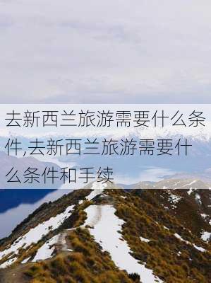 去新西兰旅游需要什么条件,去新西兰旅游需要什么条件和手续