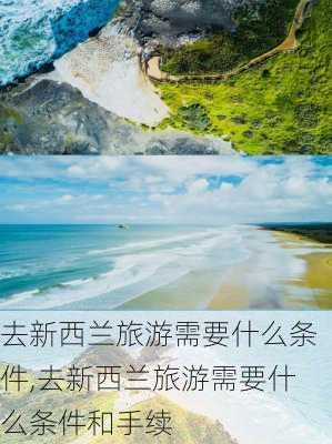 去新西兰旅游需要什么条件,去新西兰旅游需要什么条件和手续