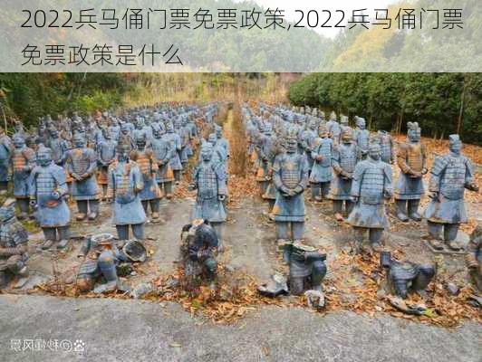 2022兵马俑门票免票政策,2022兵马俑门票免票政策是什么