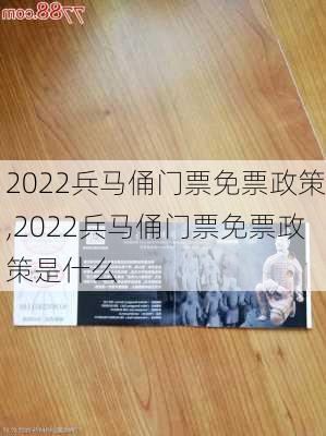 2022兵马俑门票免票政策,2022兵马俑门票免票政策是什么