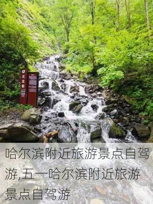 哈尔滨附近旅游景点自驾游,五一哈尔滨附近旅游景点自驾游