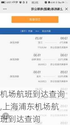 机场航班到达查询,上海浦东机场航班到达查询