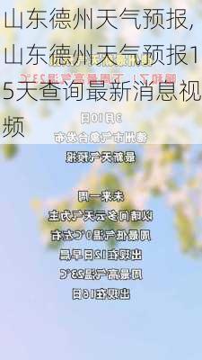 山东德州天气预报,山东德州天气预报15天查询最新消息视频