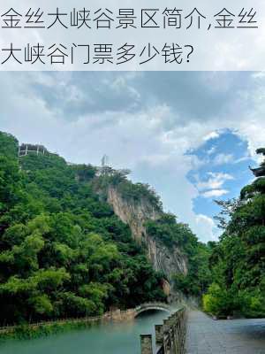 金丝大峡谷景区简介,金丝大峡谷门票多少钱?