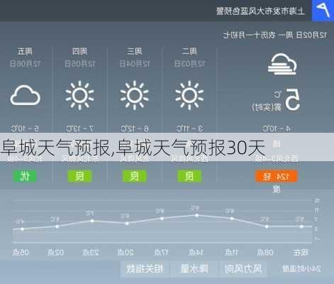 阜城天气预报,阜城天气预报30天