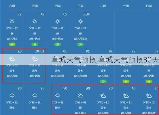 阜城天气预报,阜城天气预报30天