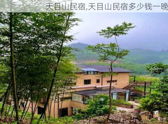 天目山民宿,天目山民宿多少钱一晚