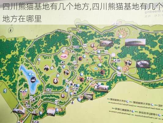 四川熊猫基地有几个地方,四川熊猫基地有几个地方在哪里