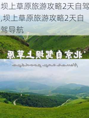 坝上草原旅游攻略2天自驾,坝上草原旅游攻略2天自驾导航