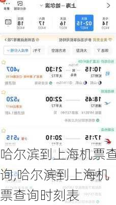 哈尔滨到上海机票查询,哈尔滨到上海机票查询时刻表