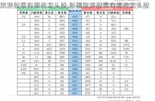 旅游股票有哪些龙头股,新疆旅游股票有哪些龙头股