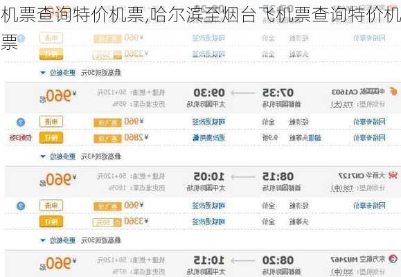 机票查询特价机票,哈尔滨至烟台飞机票查询特价机票