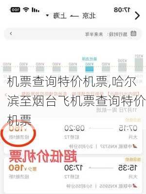 机票查询特价机票,哈尔滨至烟台飞机票查询特价机票