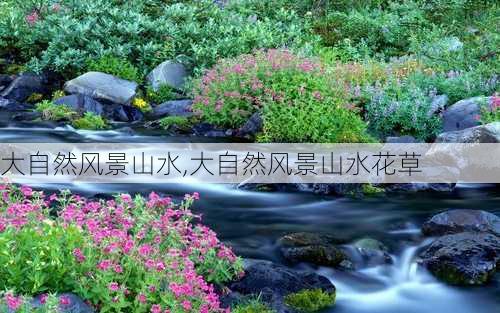 大自然风景山水,大自然风景山水花草