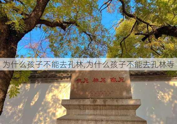 为什么孩子不能去孔林,为什么孩子不能去孔林寺