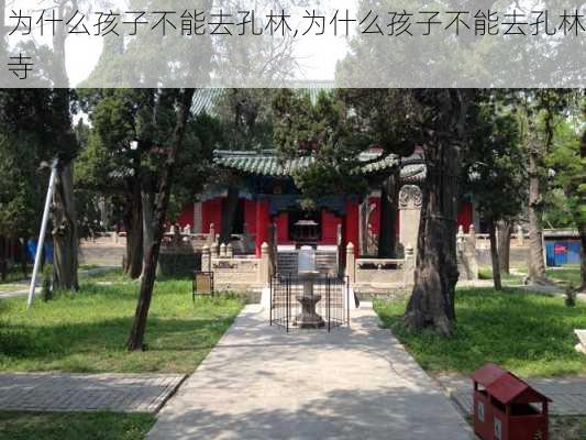 为什么孩子不能去孔林,为什么孩子不能去孔林寺