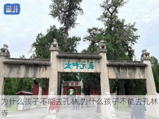 为什么孩子不能去孔林,为什么孩子不能去孔林寺