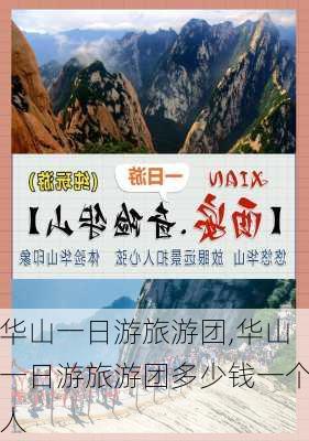 华山一日游旅游团,华山一日游旅游团多少钱一个人