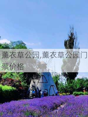 薰衣草公园,薰衣草公园门票价格