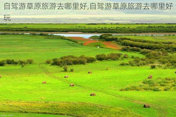 自驾游草原旅游去哪里好,自驾游草原旅游去哪里好玩