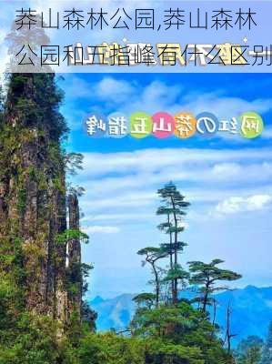 莽山森林公园,莽山森林公园和五指峰有什么区别