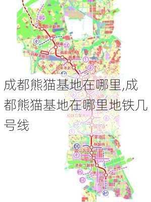 成都熊猫基地在哪里,成都熊猫基地在哪里地铁几号线