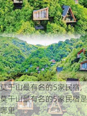 莫干山最有名的5家民宿,莫干山最有名的5家民宿是哪里