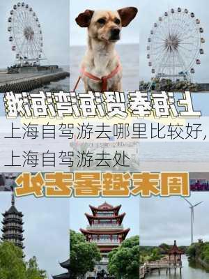 上海自驾游去哪里比较好,上海自驾游去处