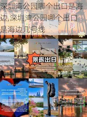 深圳湾公园哪个出口是海边,深圳湾公园哪个出口是海边几号线