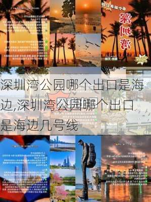 深圳湾公园哪个出口是海边,深圳湾公园哪个出口是海边几号线