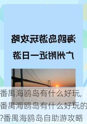 番禺海鸥岛有什么好玩,番禺海鸥岛有什么好玩的?番禺海鸥岛自助游攻略