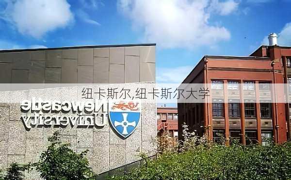 纽卡斯尔,纽卡斯尔大学