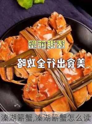 溱湖簖蟹,溱湖簖蟹怎么读