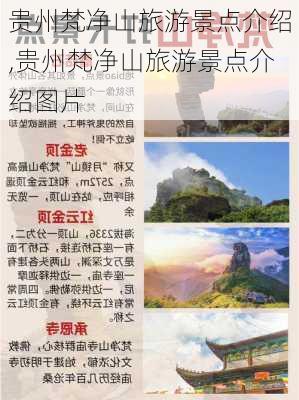 贵州梵净山旅游景点介绍,贵州梵净山旅游景点介绍图片