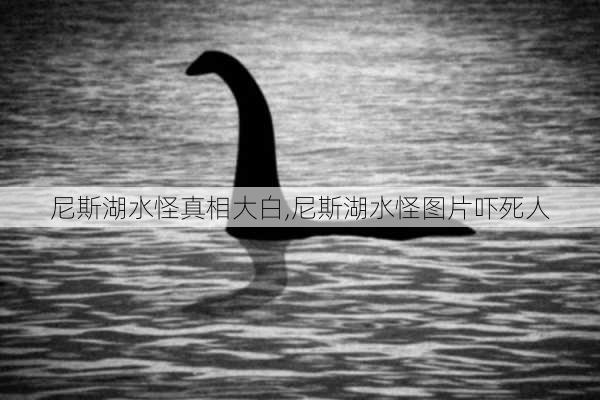 尼斯湖水怪真相大白,尼斯湖水怪图片吓死人