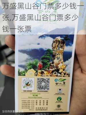 万盛黑山谷门票多少钱一张,万盛黑山谷门票多少钱一张票