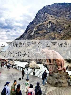 云南虎跳峡简介,云南虎跳峡简介(30字)