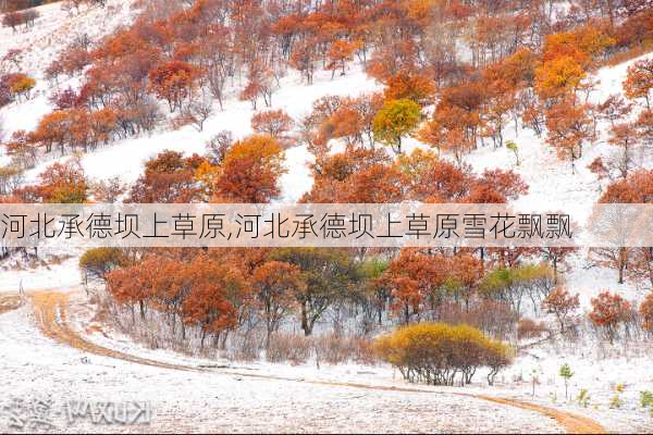 河北承德坝上草原,河北承德坝上草原雪花飘飘