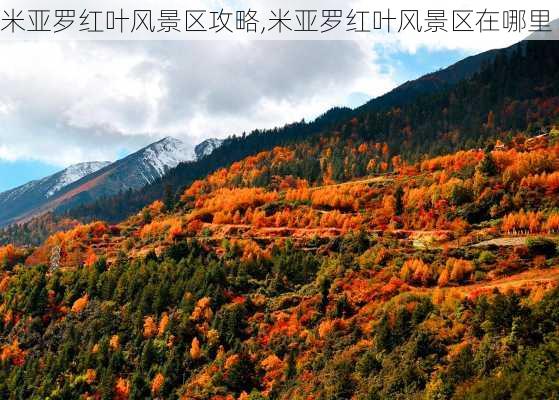 米亚罗红叶风景区攻略,米亚罗红叶风景区在哪里